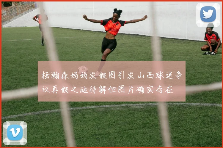 杨瀚森妈妈发假图引发山西球迷争议真假之谜待解但图片确实存在